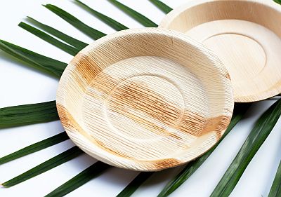 Palm Leaf Plates