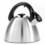 induction-ready tea kettle