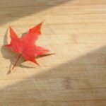 Maple leave on the cutting board